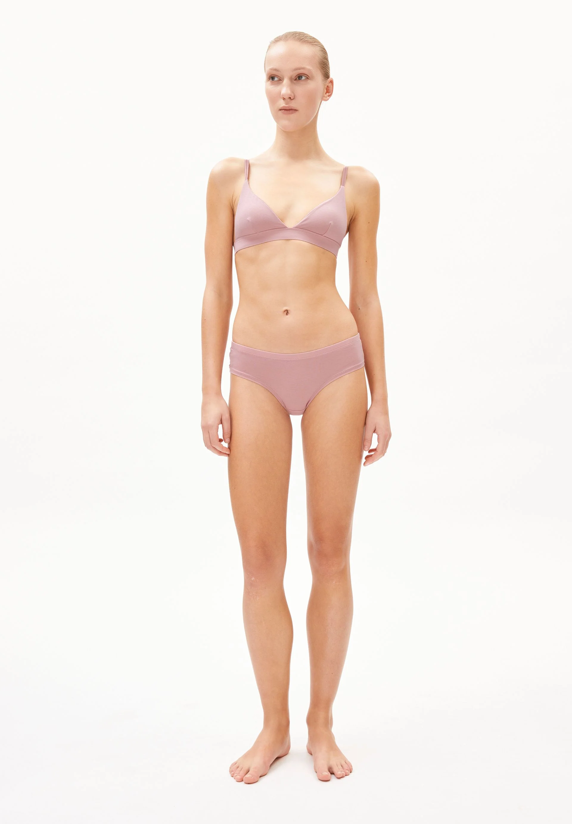OSAAM | rose - Image 5