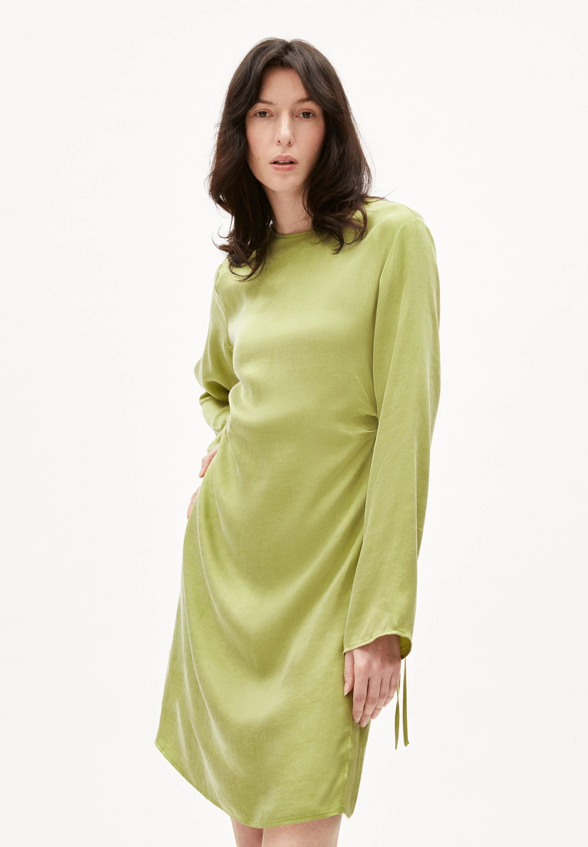 ZYLAA | new moss